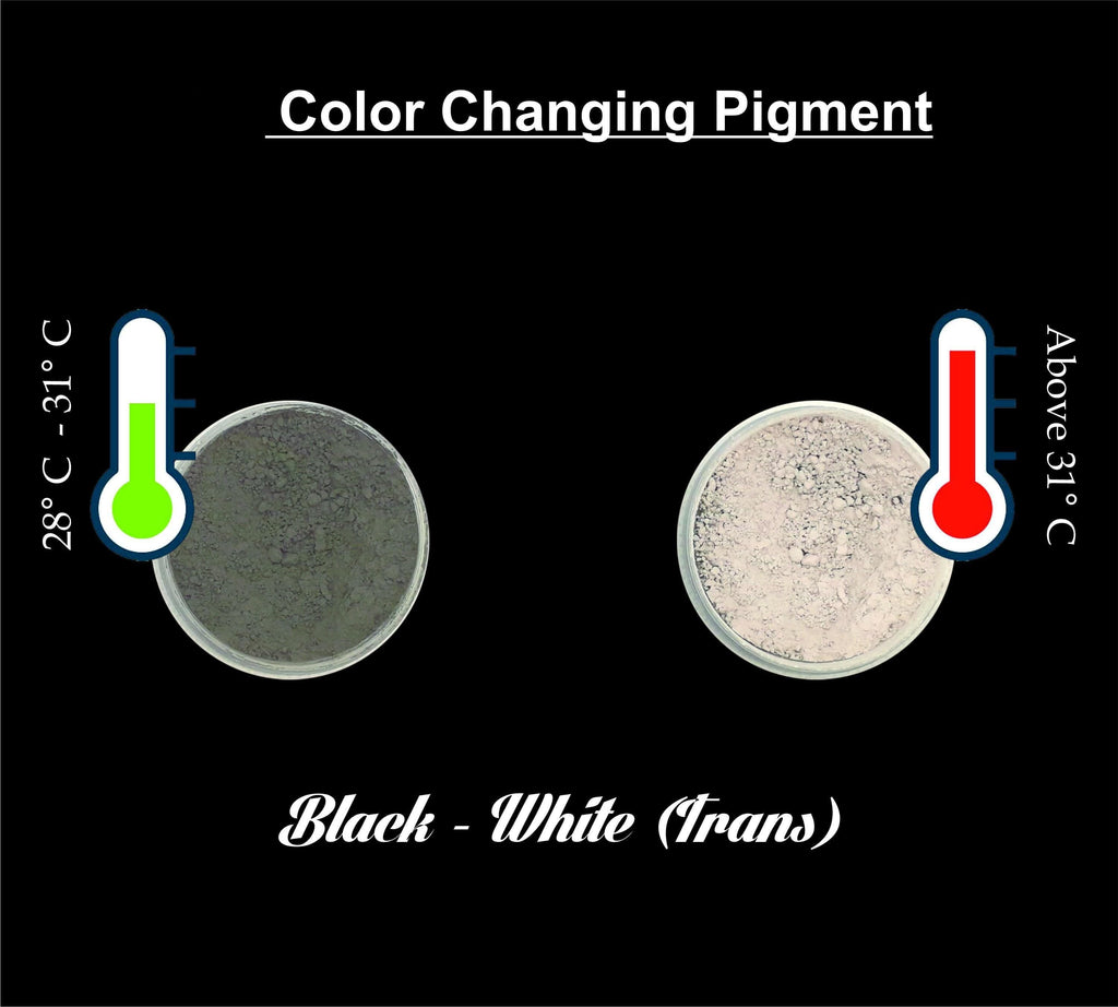 Black to White Thermo Shift Pigment - 2gms Bestow Charms