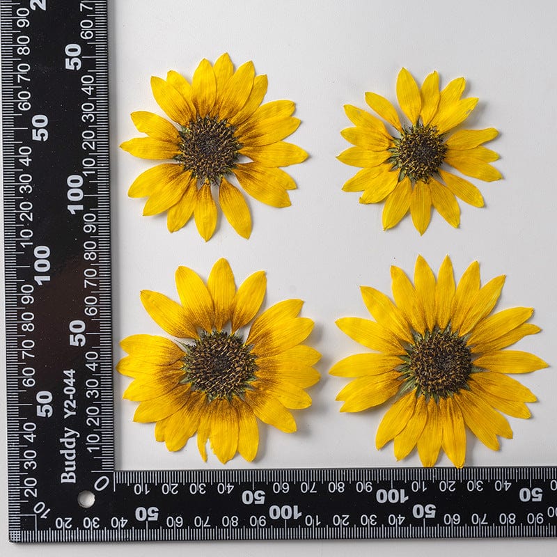 Sunflower - Set of 12 Bestow Charms